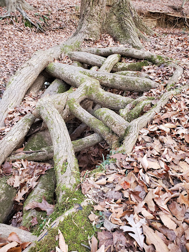 Park «Fairfax Villa Park», reviews and photos, 11399 Park Dr, Fairfax, VA 22030, USA