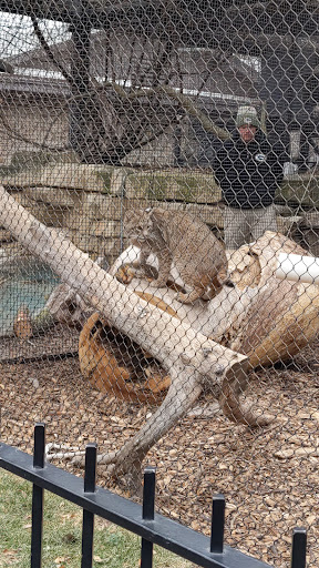 Zoo «Kansas Wildlife Exhibit», reviews and photos, 600-630 Nims N, Wichita, KS 67203, USA