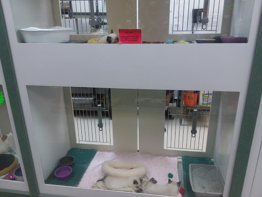 Pet Store «Petland», reviews and photos, 2123 Old Hudson Rd, St Paul, MN 55119, USA