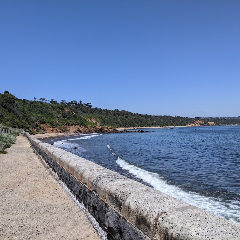 Fossil Beach Dog Off Leash Area