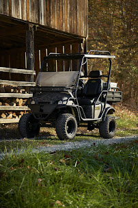 Cart Nation - Photo 9 - Car repair in Mobile, AL, Mobile