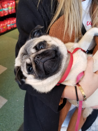 Pet Supply Store «Sellwood Pet Supply», reviews and photos, 8334 SE 17th Ave, Portland, OR 97202, USA