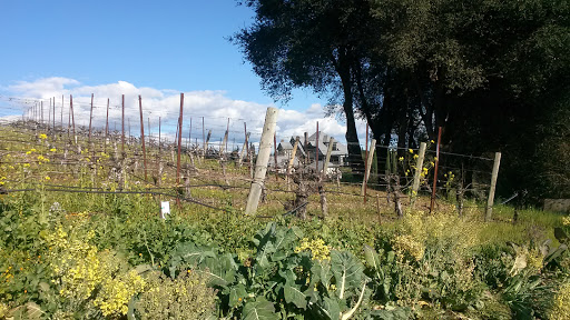 General Store «Dry Creek General Store», reviews and photos, 3495 Dry Creek Rd, Healdsburg, CA 95448, USA