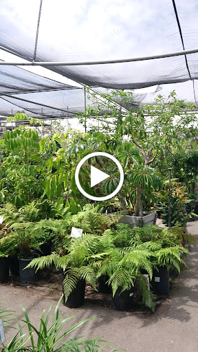 Plant Nursery «San Gabriel Nursery & Florist», reviews and photos, 632 S San Gabriel Blvd, San Gabriel, CA 91776, USA