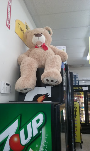 Discount Store «Dollar General», reviews and photos, 8144 Silver Lake Rd, Linden, MI 48451, USA