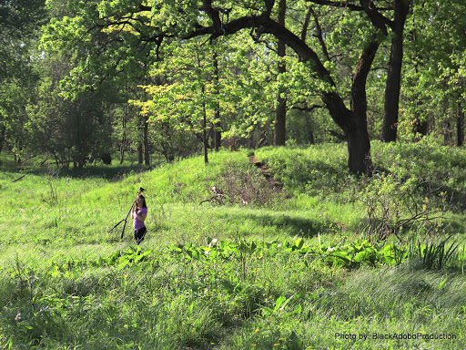 Nature Preserve «Bluff Spring Fen», reviews and photos, Spring Grove Ave, Elgin, IL 60120, USA