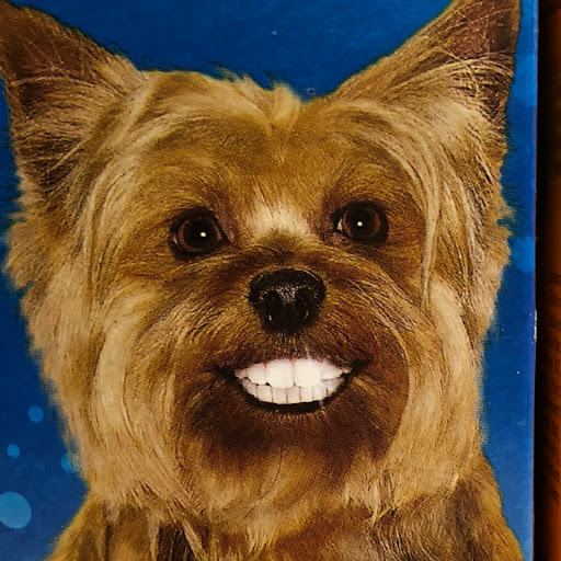 Pet Supply Store «Petco Animal Supplies», reviews and photos, 2310 S Shore Center, Alameda, CA 94501, USA