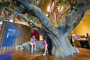 Polk's Nature Discovery Center