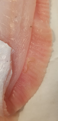 Seafood Market «Hampton Seafood Market», reviews and photos, 227 W Pembroke Ave, Hampton, VA 23669, USA