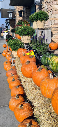 Grocery Store «King Soopers», reviews and photos, 1520 Main St, Windsor, CO 80550, USA