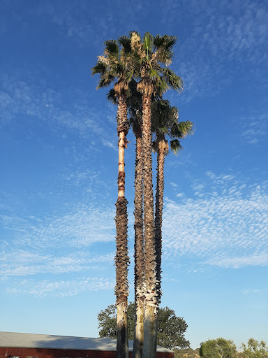 Golf Club «Paso Robles Golf Club», reviews and photos, 1600 Country Club Dr, Paso Robles, CA 93446, USA