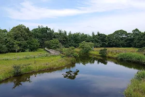 Takanabe Wetlands image