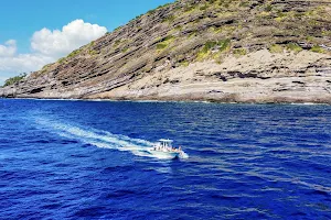Oahu Ocean Adventures image