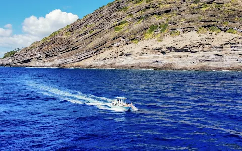 Oahu Ocean Adventures image