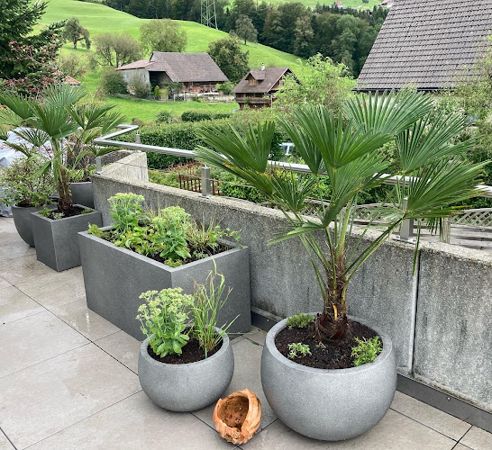 Rezensionen über Rhyner Gärten in Schwyz - Gartenbauer