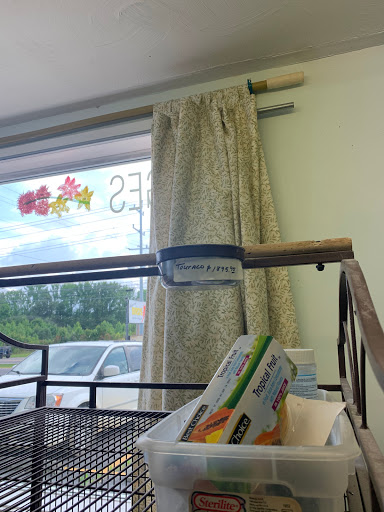 Pet Store «Adventure Birds of Bon Aqua», reviews and photos, 9600 TN-46, Bon Aqua, TN 37025, USA