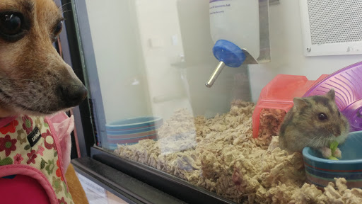 Pet Supply Store «Petco Animal Supplies», reviews and photos, 2722 N Josey Ln #107, Carrollton, TX 75007, USA