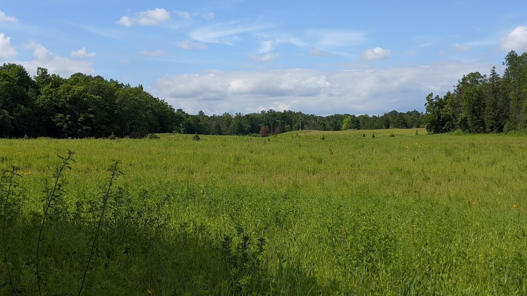 Grand Traverse Natural Education Reserve