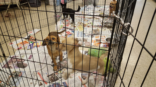 Pet Supply Store «PetSmart», reviews and photos, 470 Shaw Ave, Clovis, CA 93612, USA