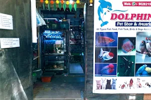 Dolphin pet shop & Aquarium image