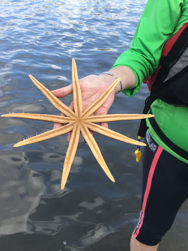 Aquarium «The River Center», reviews and photos, 805 US-1, Jupiter, FL 33477, USA