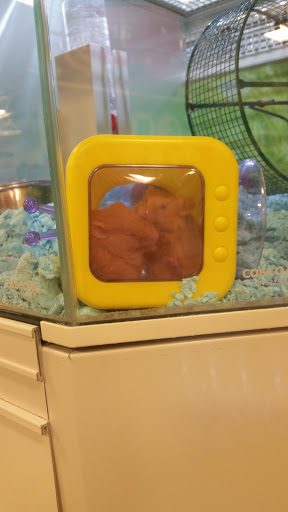 Pet Supply Store «PetSmart», reviews and photos, 2861 Veterans Memorial Pkwy, St Charles, MO 63303, USA