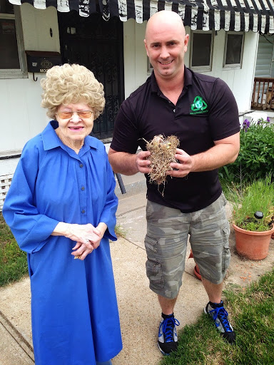 Insulation Contractor «Green Improvement Consulting», reviews and photos