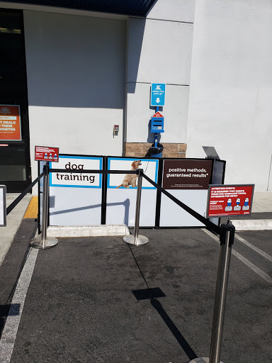 Pet Supply Store «Petco Animal Supplies», reviews and photos, 8161 Beverly Blvd, Los Angeles, CA 90048, USA