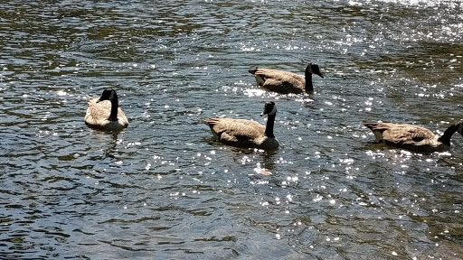 State Government Office «Wilmington State Parks», reviews and photos, 1021 W 18th St, Wilmington, DE 19802, USA
