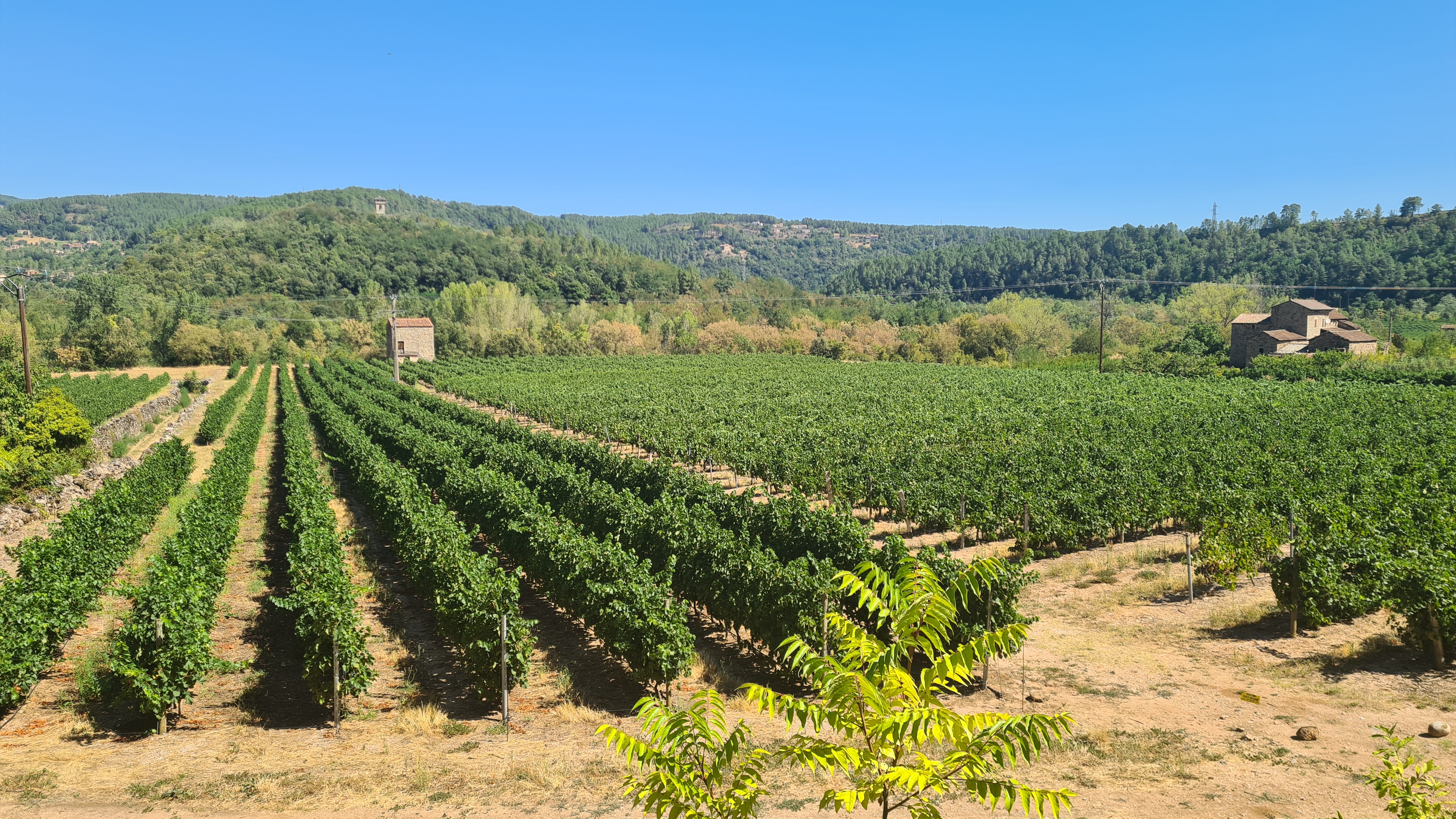 Photo n° 4 de l'avis de Kevin.i fait le 02/08/2023 à 21:33