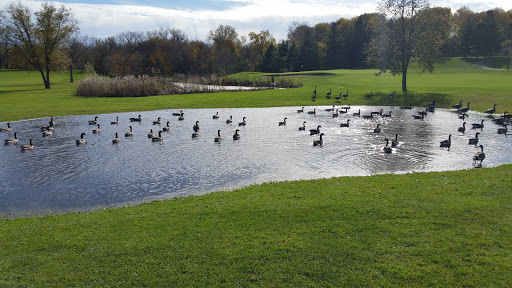 Golf Club «Columbia Golf Club», reviews and photos, 3300 Central Ave NE, Minneapolis, MN 55418, USA