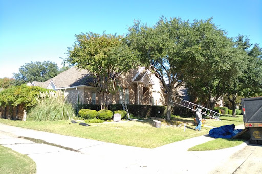 Roofing Contractor «Bold Roofing», reviews and photos, 11601 Plano Rd #108, Dallas, TX 75243, USA