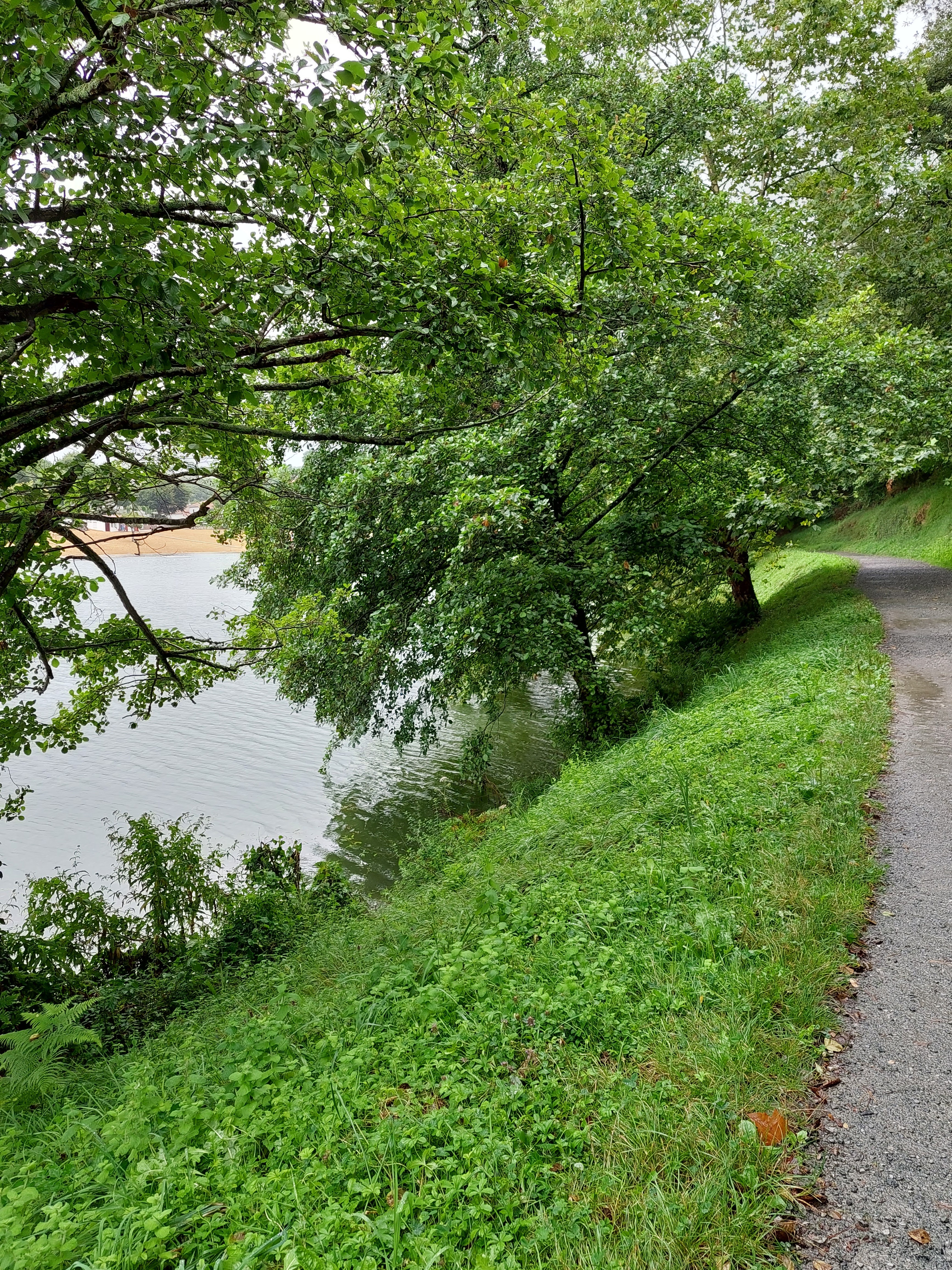 Photo n° 11 de l'avis de Maïté.e fait le 05/08/2023 à 20:54