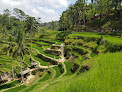 Tegallalang Rice Terrace