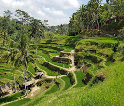 Villa Kemuning photo