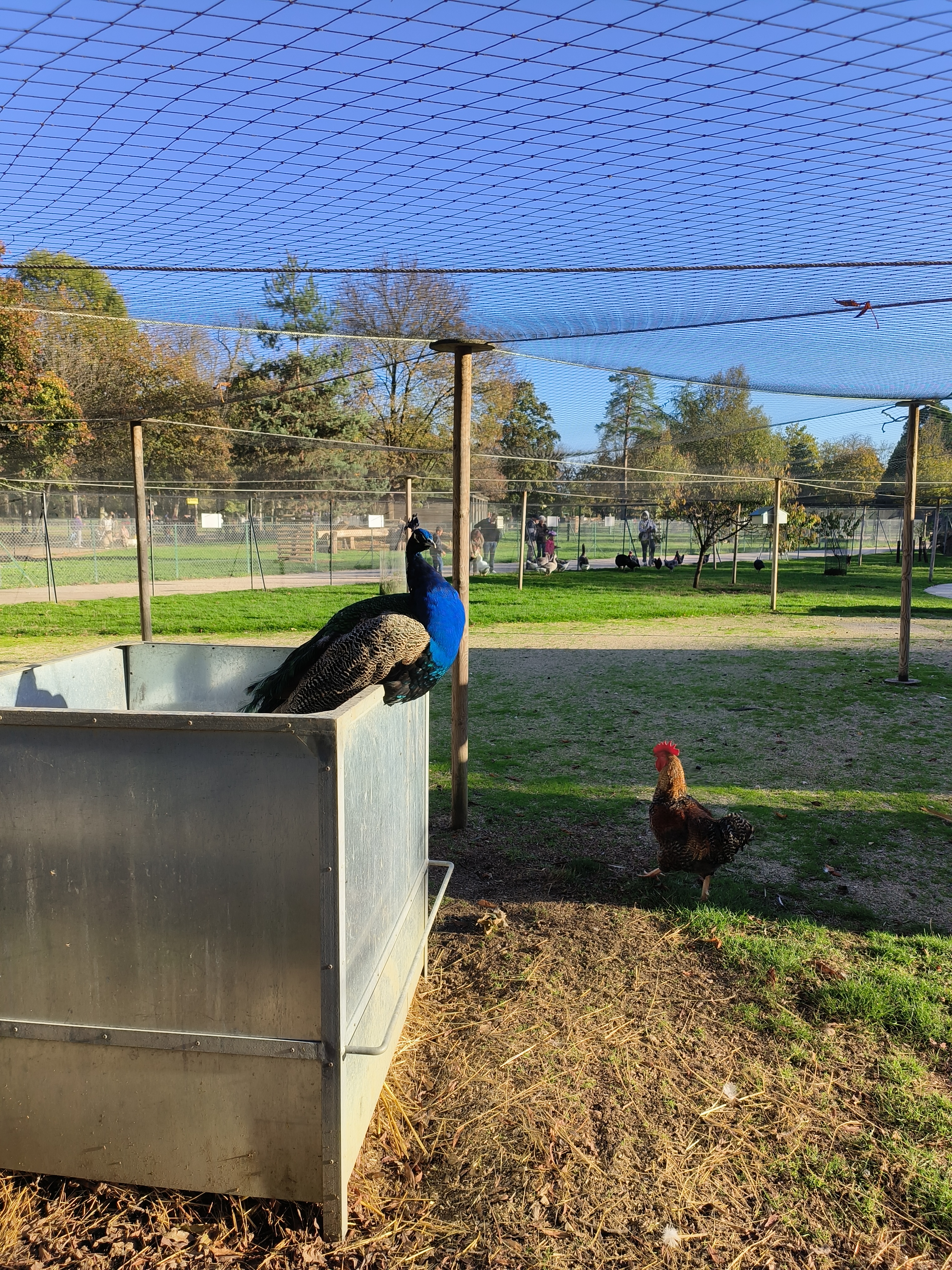 Photo n° 3 de l'avis de Kamilla.a fait le 03/11/2022 à 12:02