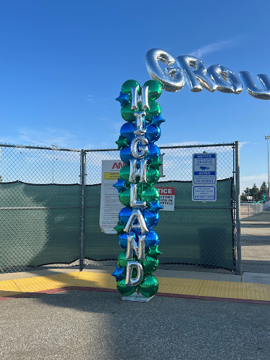 Paradise Balloon Designs image