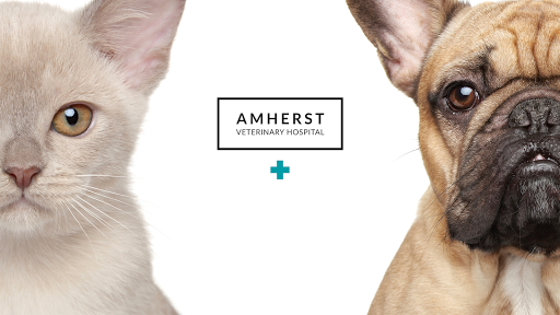 Amherst Veterinary Hospital