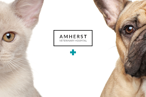 Amherst Veterinary Hospital image