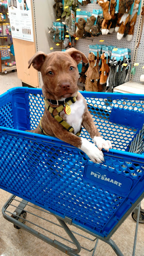 Pet Supply Store «PetSmart», reviews and photos, 1810 Cumming Hwy, Canton, GA 30114, USA