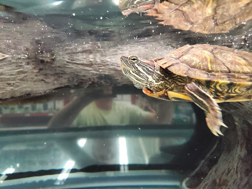 Pet Supply Store «Petco Animal Supplies», reviews and photos, 200 Center Blvd S, Christiana, DE 19702, USA