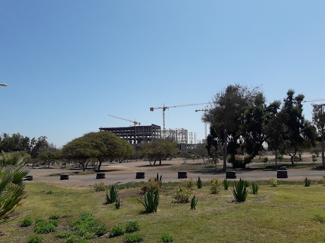Opiniones de Estadio Parque Juan López en Antofagasta - Campo de fútbol