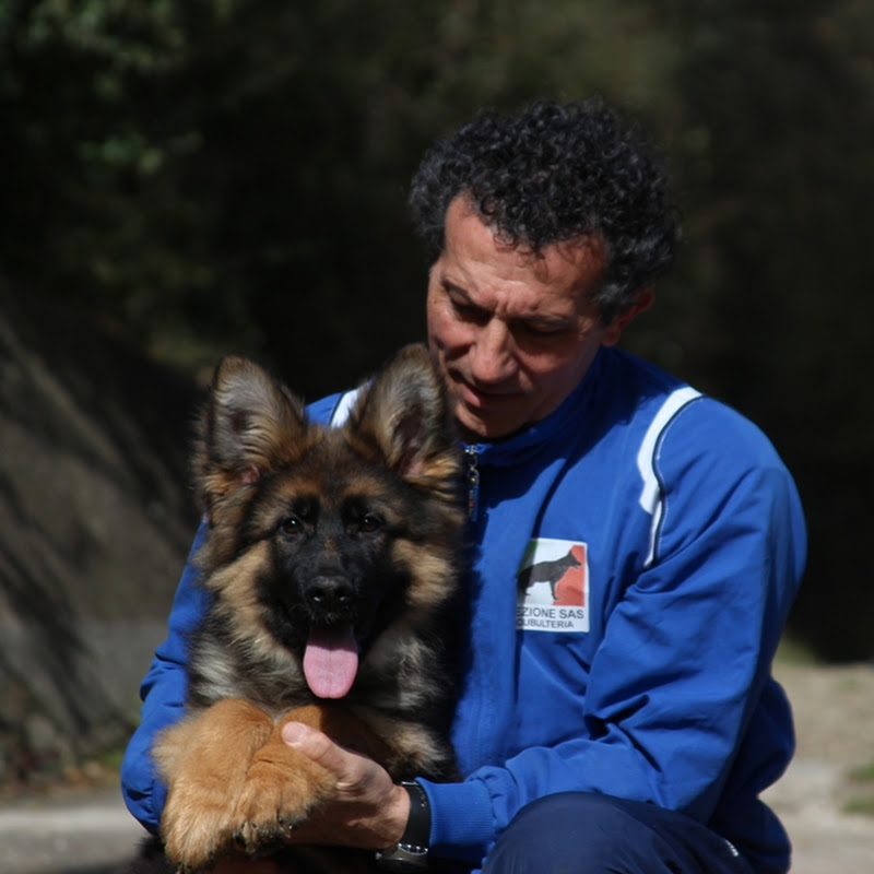 Allevamento Pastori Tedeschi di Casa Falcone