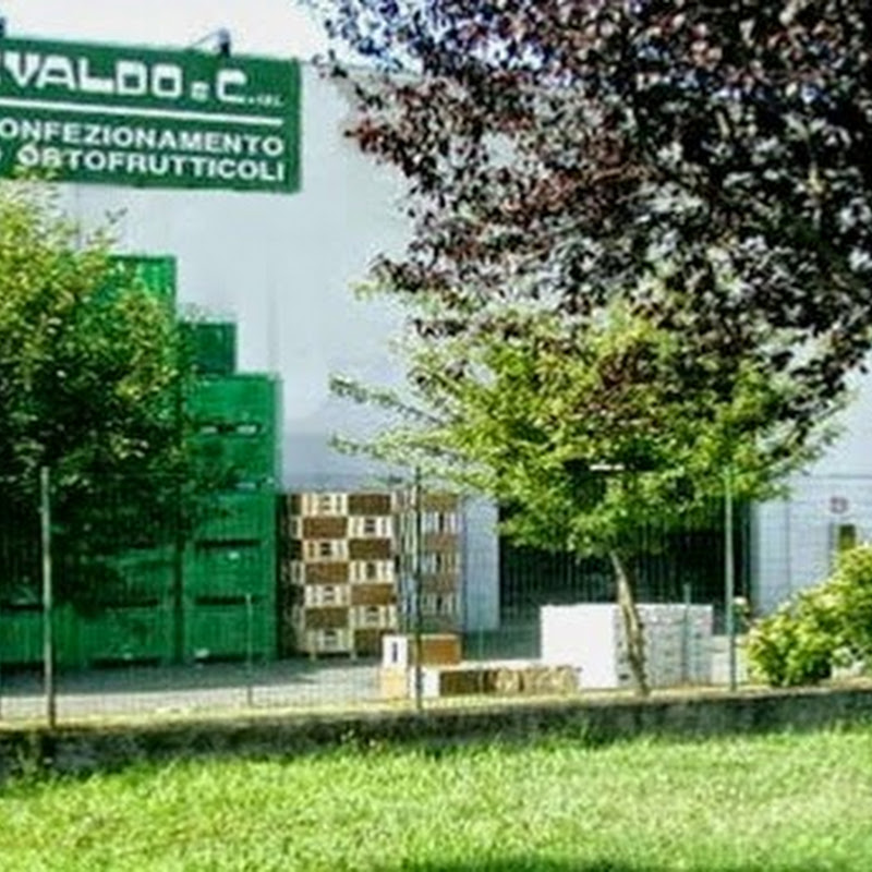 Pizzi Osvaldo & c S.p.A. - Confezionamento e Commercializzazione di Ortofrutta e Frutta Biologica