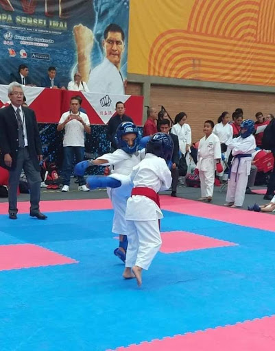 Gekko Kai Karate Do Chimalhuacan