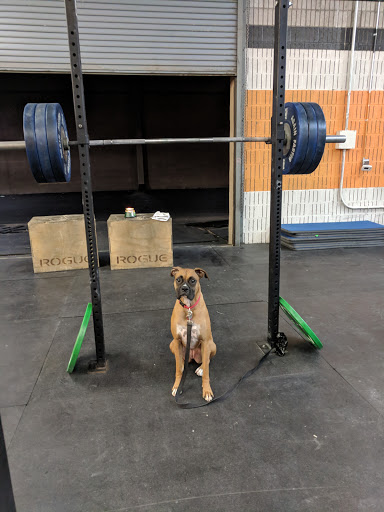 Gym «Spark CrossFit», reviews and photos, 5444 E Washington St #3, Phoenix, AZ 85034, USA