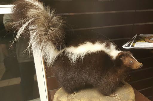 Nature Preserve «Bob Jones Nature Center», reviews and photos, 355 Bob Jones Rd, Southlake, TX 76092, USA