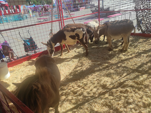 Arena «The Family Arena», reviews and photos, 2002 Arena Pkwy, St Charles, MO 63303, USA