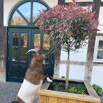 Photo n°2 de l'avis de Julia. fait le 13/06/2022 à 10:00 sur le  von Laer à Herford