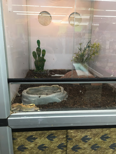 Pet Store «Pets Plus - Quakertown», reviews and photos, 117 S West End Blvd, Quakertown, PA 18951, USA